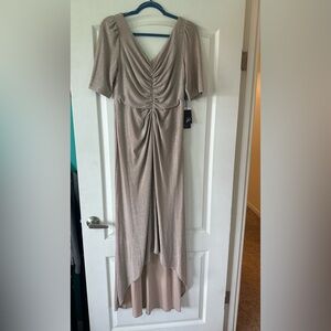 Elegant Shimmering Dress